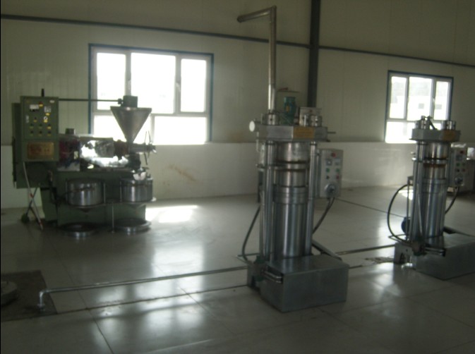 С��ե�ͻ������ֳ�